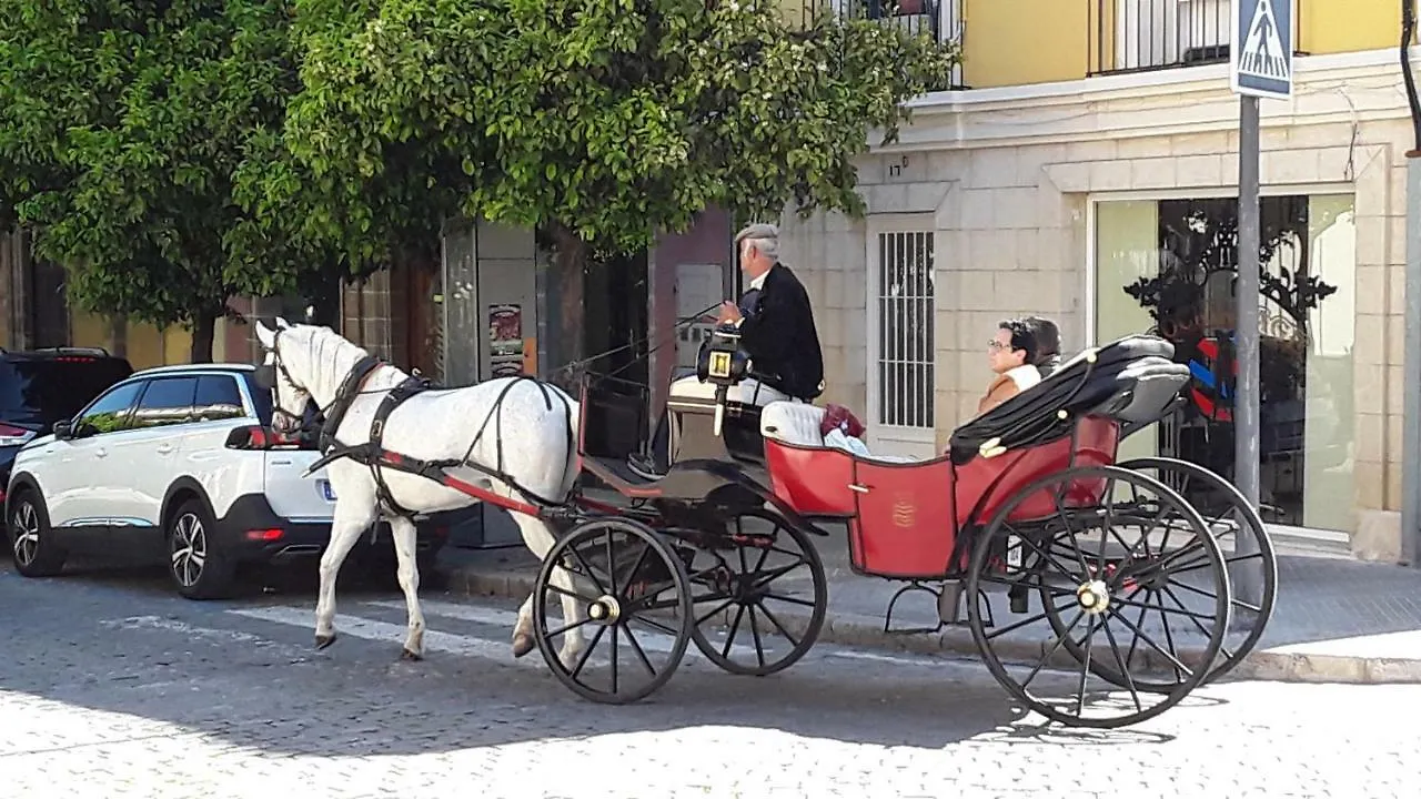 Sherryflat Paralejo 10 - Parking Jerez de la Frontera Apartamento